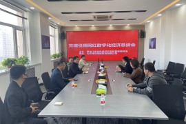 大庆市龙凤区党建引领网红数字化经济恳谈会  共商发展新路径